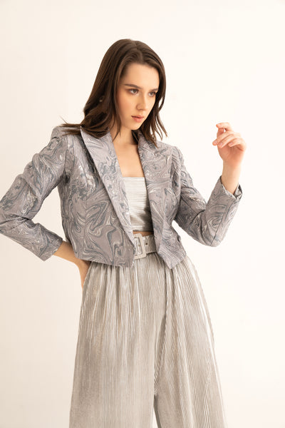 Silver Frost Crop Blazer, Crop Top and Silver Pleated Belted Pants Co-ord