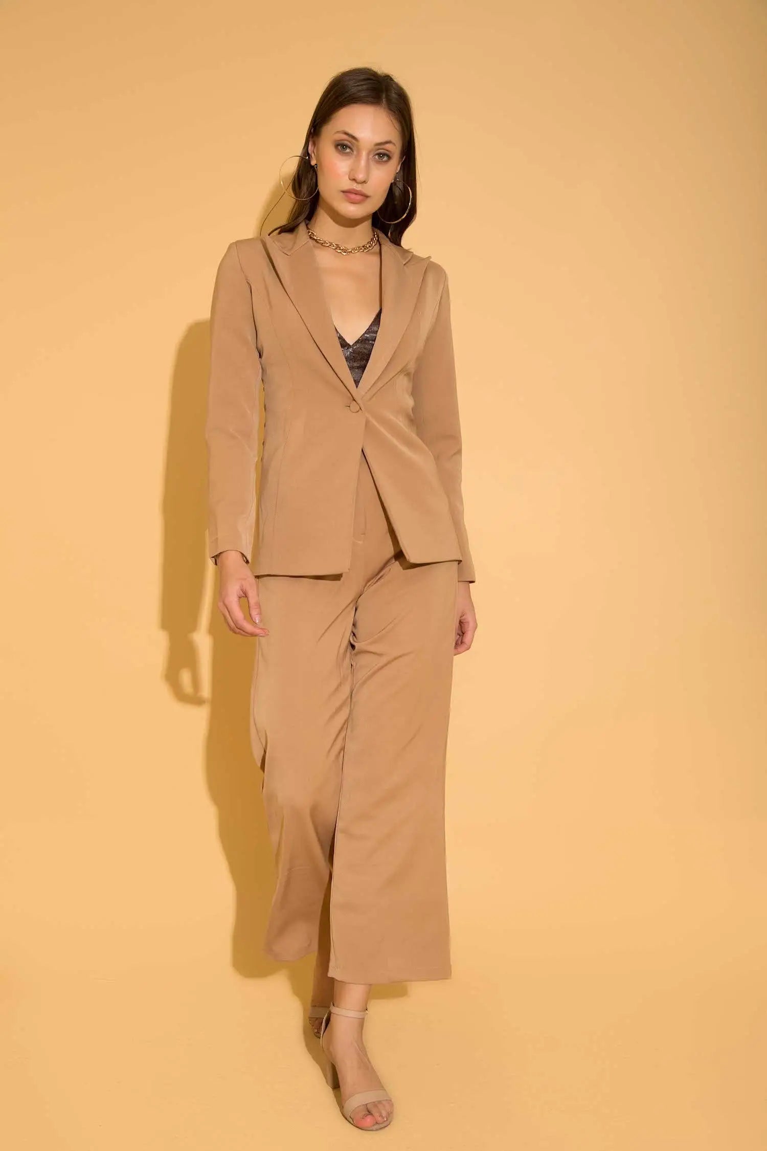 Beige Formal Pants - PANTS