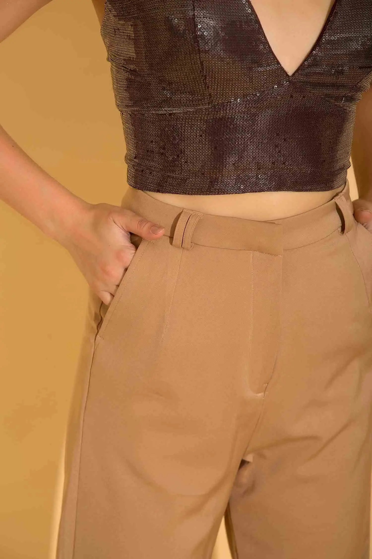 Beige Formal Pants - PANTS