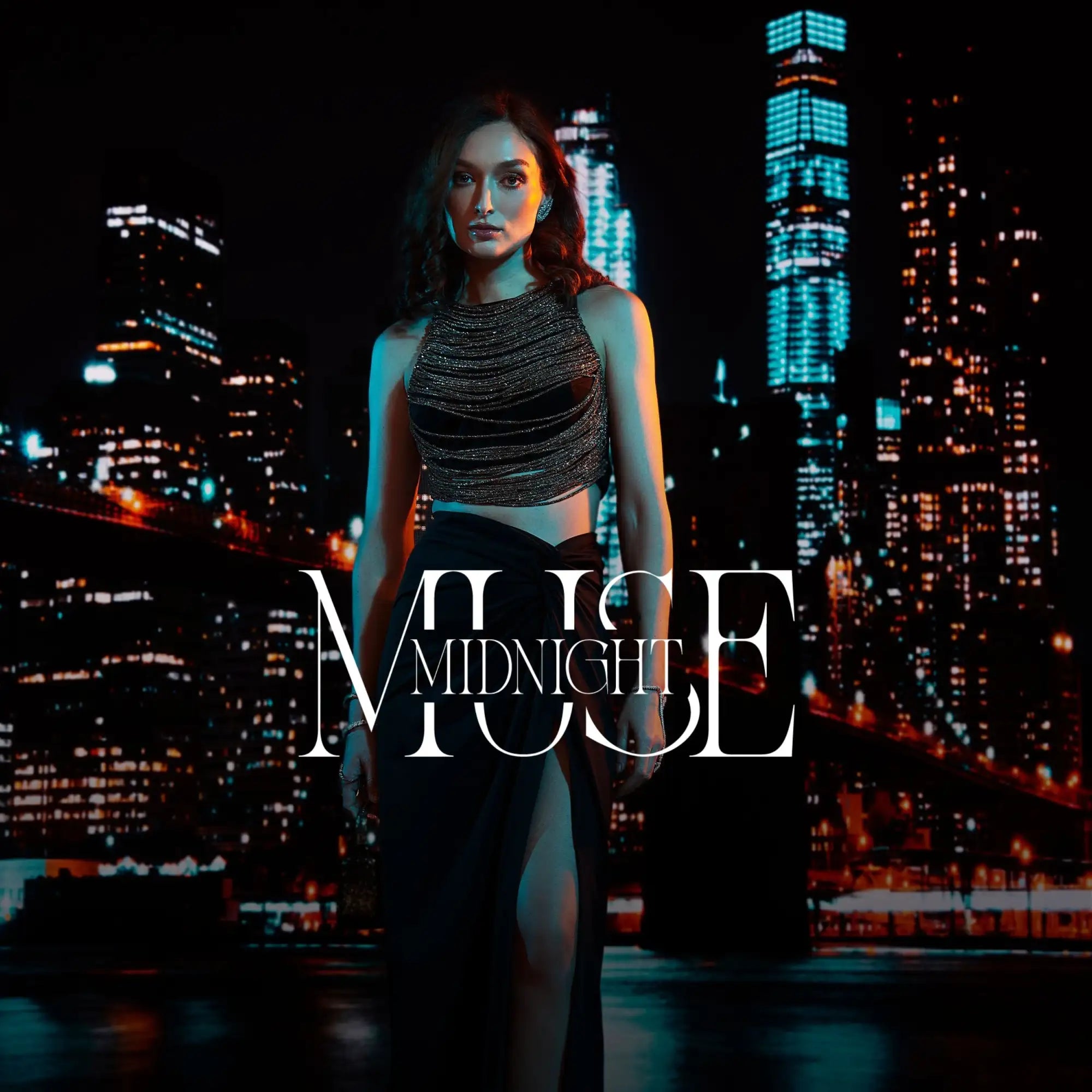 Black and silver sequined dress