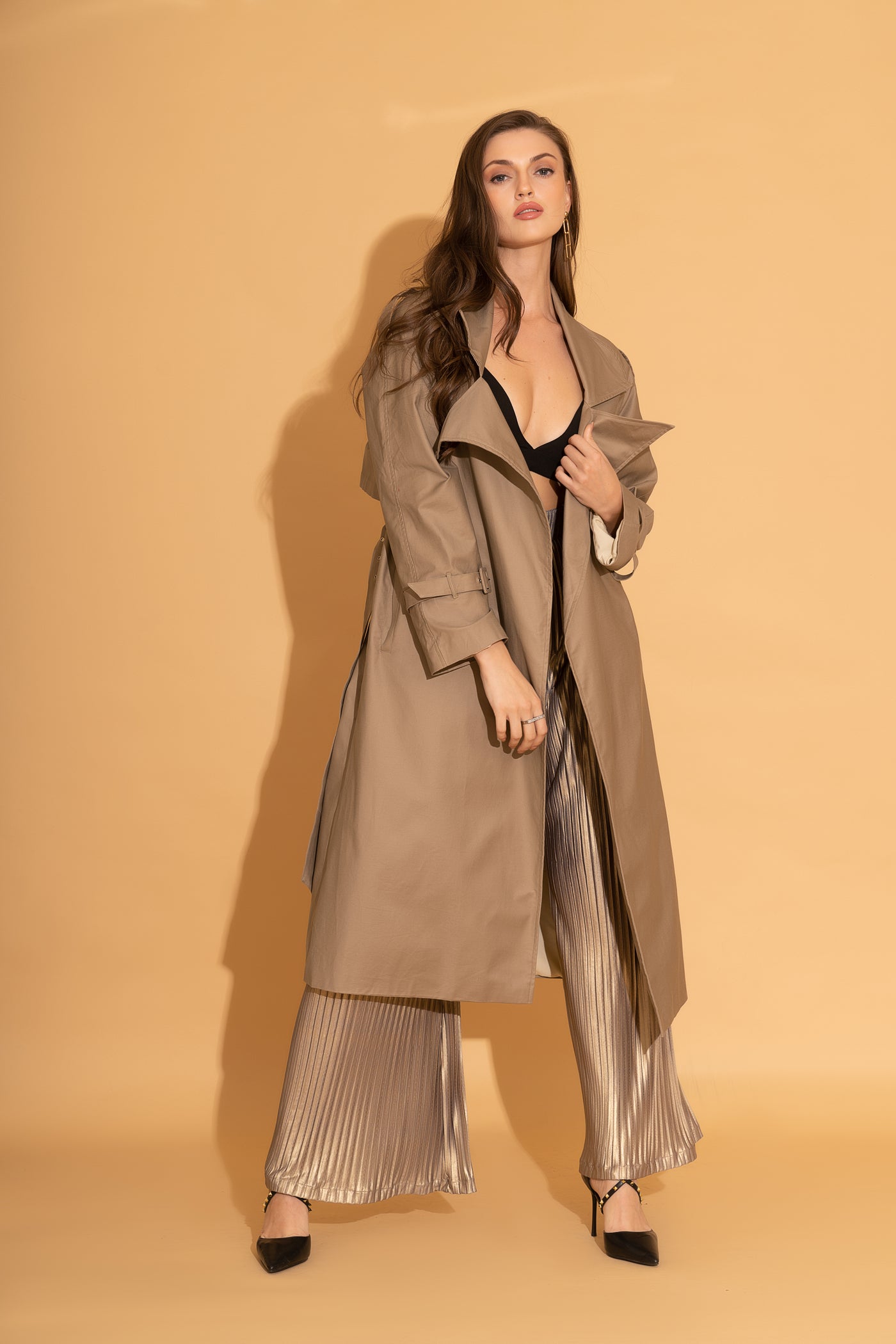Clay Coloured Trench